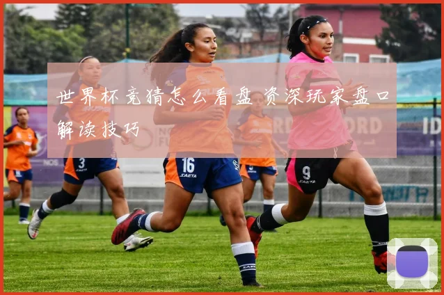 世界杯竞猜怎么看盘 资深玩家盘口解读技巧