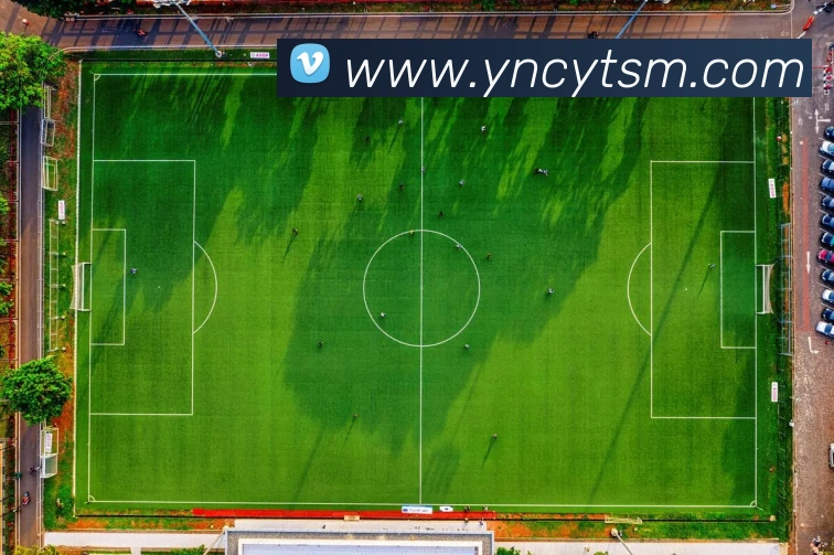 App Interface Preview