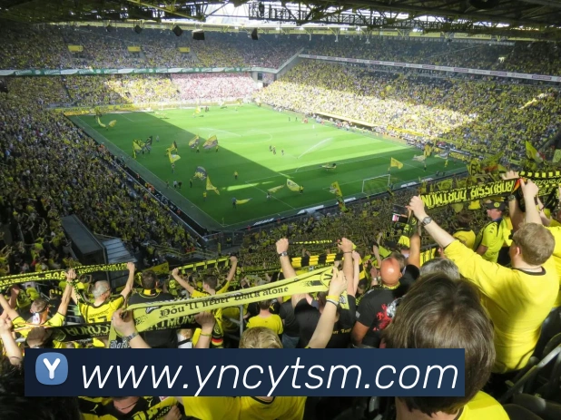 世界杯平台官网登录APP 封面图